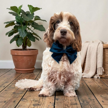 Load image into Gallery viewer, Velvet Bow Teal