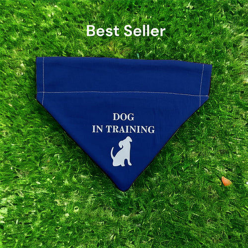 Dog In Training