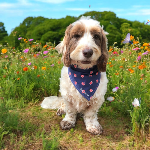 Union Jack Polka Dot Dog Bandana