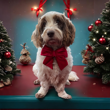 Load image into Gallery viewer, Christmas Velvet Sailor Bow