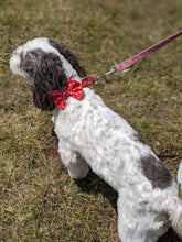 Load image into Gallery viewer, Red Polka Dot