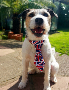 Best Of British Tie