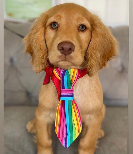 Happy Stripe Tie