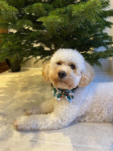 Load image into Gallery viewer, Christmas Holly