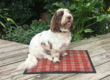 Load image into Gallery viewer, Sherwood Plaid Tweed Sit Mat WAS £24.99 NOW £12.50