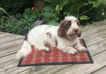 Load image into Gallery viewer, Sherwood Plaid Tweed Sit Mat WAS £24.99 NOW £12.50