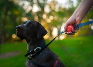 Lead Mate (Red)- Rope - SALE 50% OFF MARKED PRICE