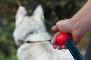 Lead Mate (Black)-Rope - SALE 50% OFF MARKED PRICE