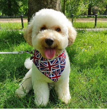 Load image into Gallery viewer, Best of British